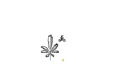 weed art