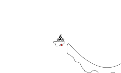 The Track