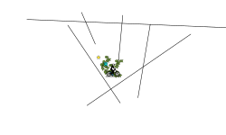 zoom 0.03 seconds