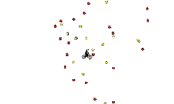 Quick Heli Auto