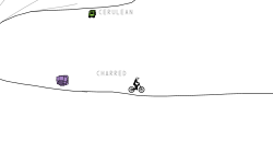 The race!