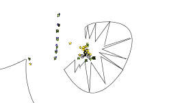 spin start