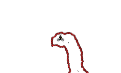 5 Second Heli Hold Up