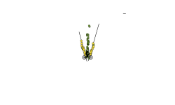 The SlingShot