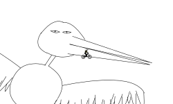 BIRDDD