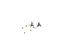 BMX
