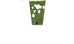 smoothy mayhem