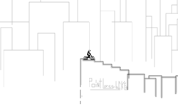 The Heights