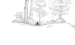 Woods 2