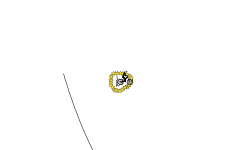 spin