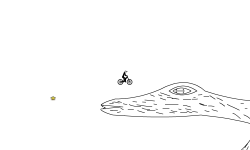 Lizard