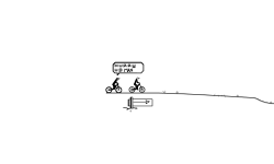 RACE