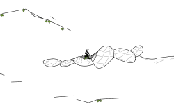 auto wheelie