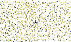 1000 star challenge!!!