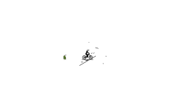 odd track