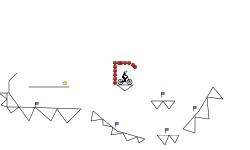 MTB Trial