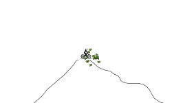 Downhill rush