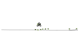 auto loop (looped 4)