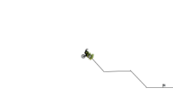 Randomness track