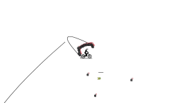 auto/?