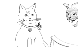 cats are amazing 5 likes?