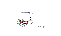"Round and round" auto