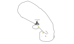 Speed