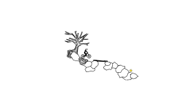 Rocks and Trees Preview.