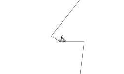 The Race