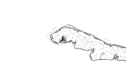 Cave