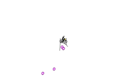 level 5