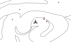 Ghosting Competition Part Two