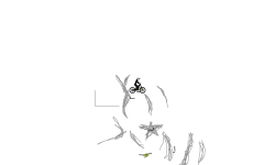 automagic