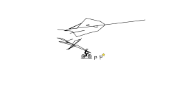 failed flag