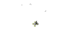 "Z" Glitch