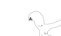 race