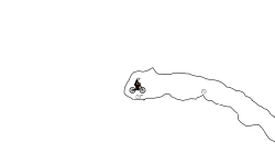 Chopper Holdup Preview