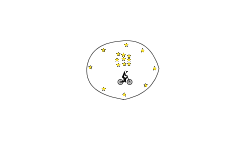 cercle