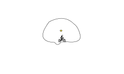 Circle