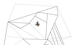 heli trial #2