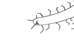 cave ride 3
