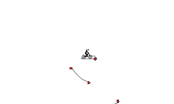 Wow! A Wheelie!