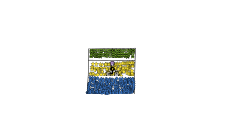 gabon 3rd flag