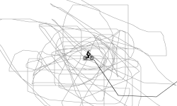 The insanity track
