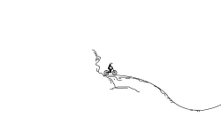 fantasy worm hole rider