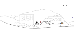The Bush