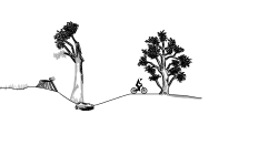 Save the Trees! Read Descriptn