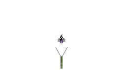 wallclip