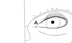 Lost interest after the eye.