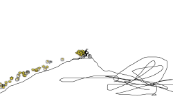the finish